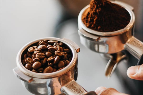 supplier kopi arabika